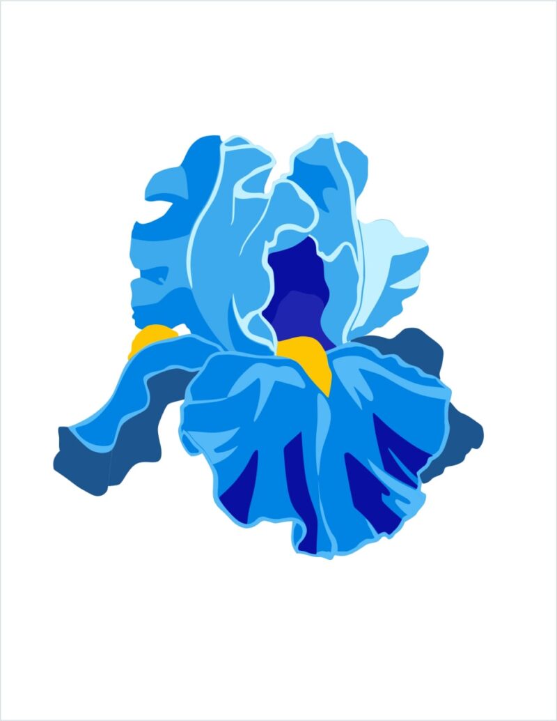 Acrylic brooch Iris Argaman NEW!