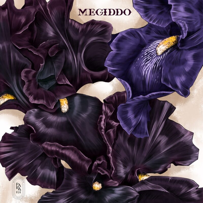 "Argaman" silk-faille scarf